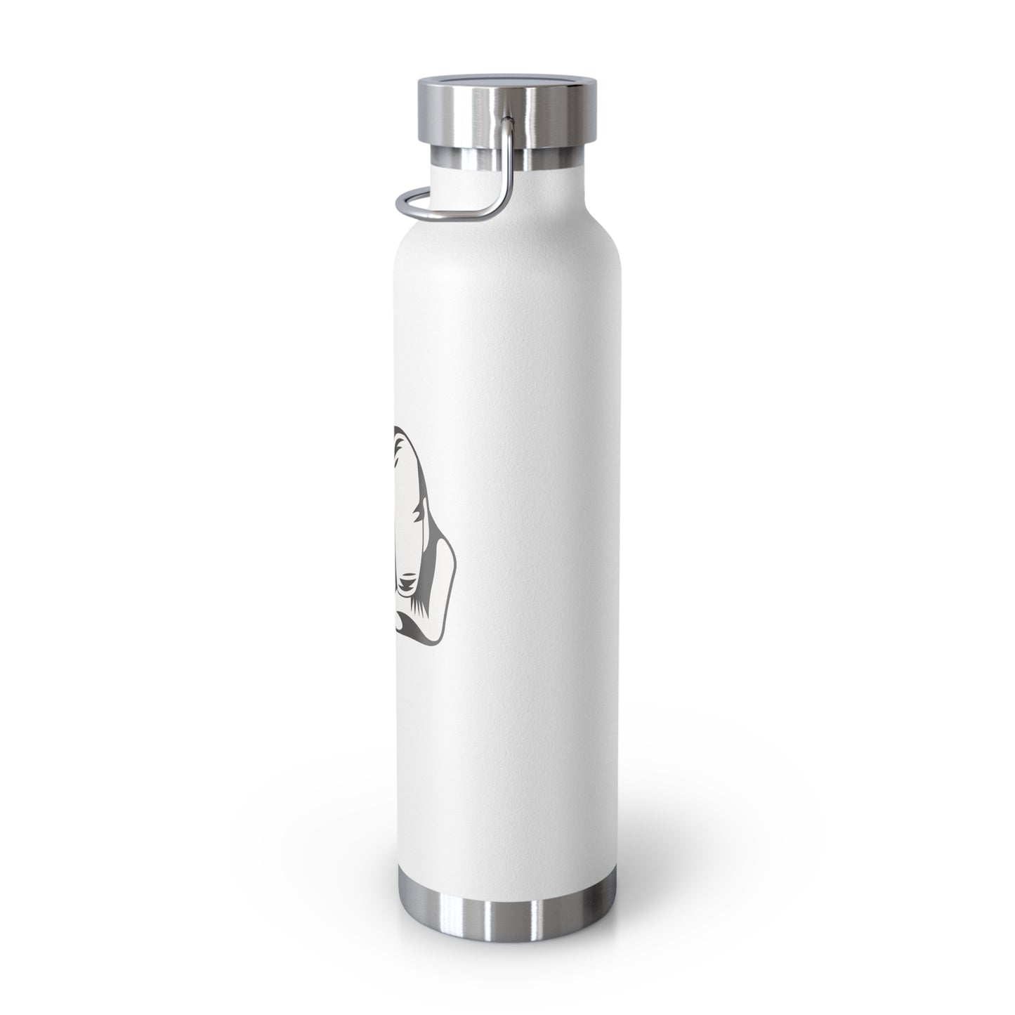 Bottle Vacuum Insulated 22oz/Fist Shake